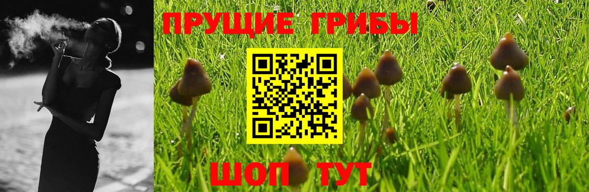 Галлюциногенные грибы MAGIC MUSHROOMS Ликино-Дулёво